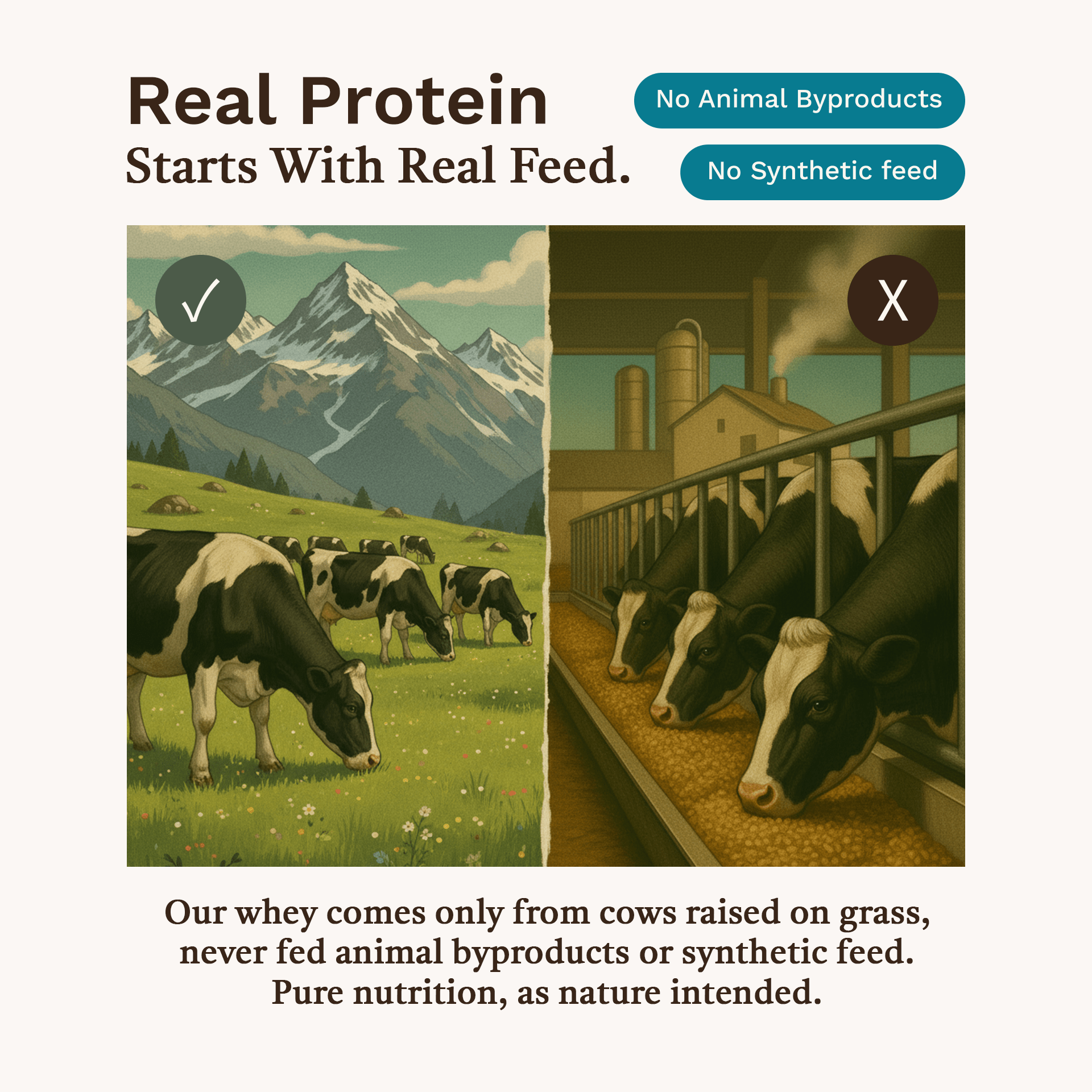 Grass Fed Whey Protein Isolate Raw - Unflavored - Who Moved My Protein