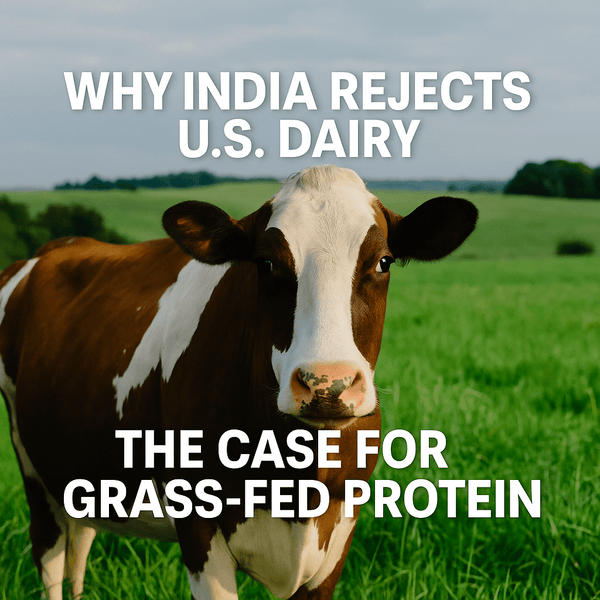 Non-Veg Milk Controversy: Why India Said No and Why Grass-Fed Protein Is the Future - Who Moved My Protein